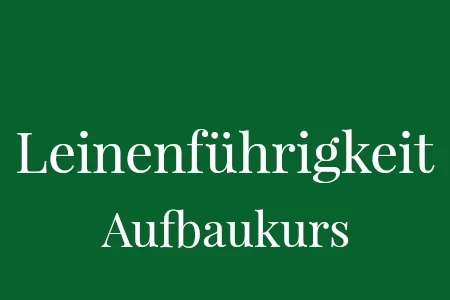 Leinenführigkeit