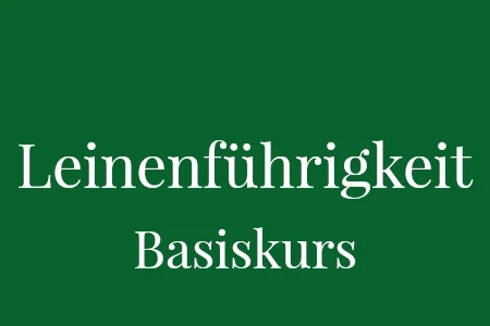Leinenführigkeit